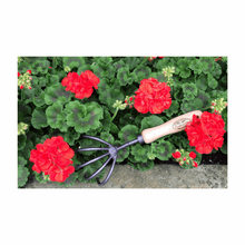 Load image into Gallery viewer, DeWit 5-Tine Cultivator