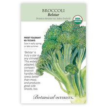 Load image into Gallery viewer, SEEDS: Bok Choy - Baby Choi