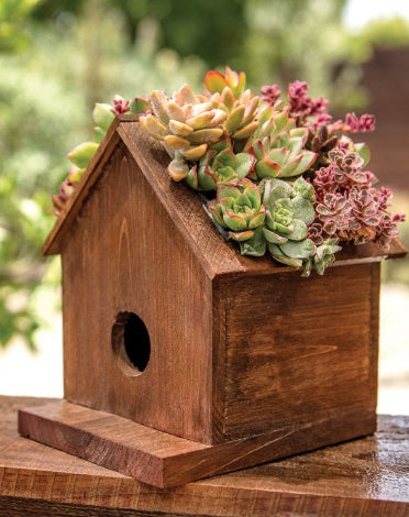 plant pot bird house Plantable Bird House – Pondside Nursery