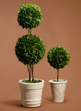 Load image into Gallery viewer, Boxwood Ball Topiary