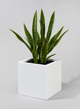 Load image into Gallery viewer, Kyvika Fiberstone Square Pot