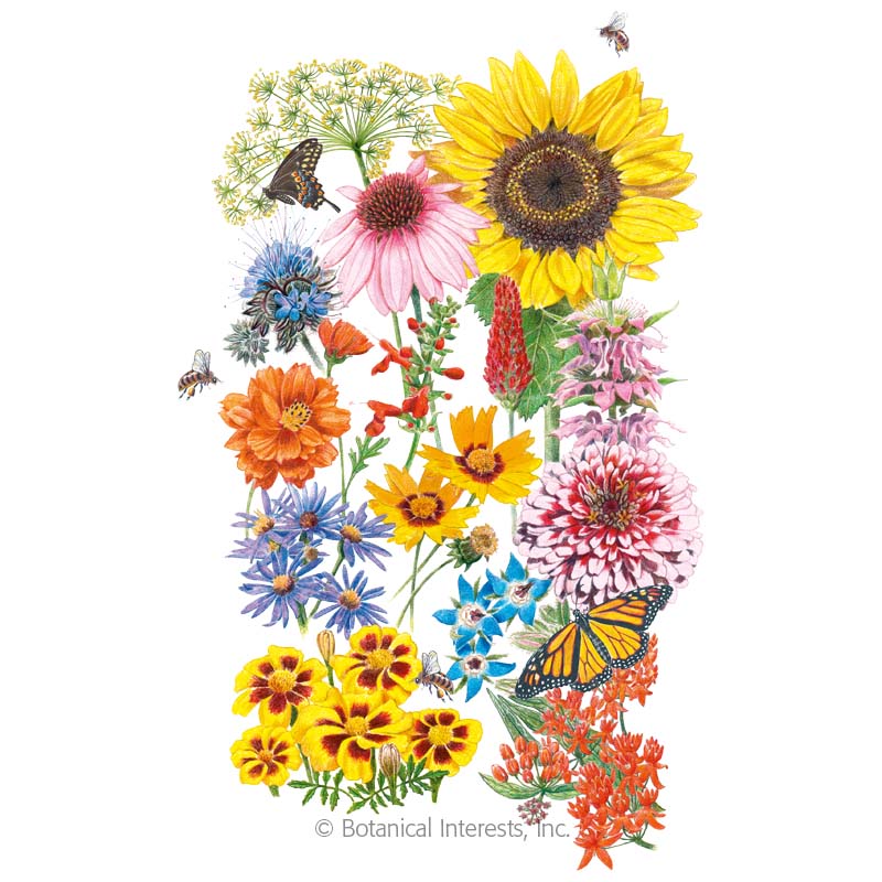 SEEDS: Flower Mix - Precious Pollinators