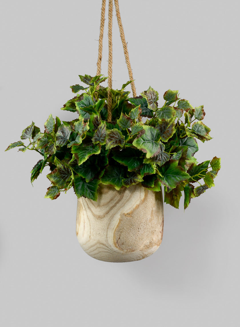 kiri wood hanging planter Paulownia Wood Hanging Pot – Pondside Nursery