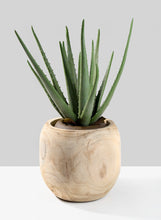 Load image into Gallery viewer, Paulownia Wood Fishbowl Vase
