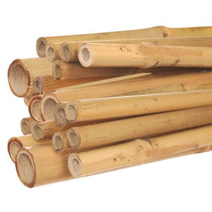 Bamboo Stake 8' - Natural