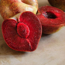 Load image into Gallery viewer, Prunus 'Elephant Heart' - Plum