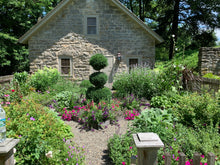 Load image into Gallery viewer, Landscape Design Consultation