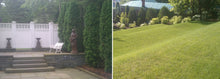 Load image into Gallery viewer, Landscape Design Consultation