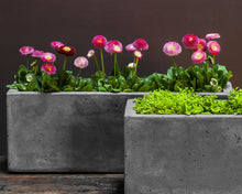 Load image into Gallery viewer, Geo Planters - Natural