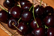 Load image into Gallery viewer, Prunus “Black Tartarian”
