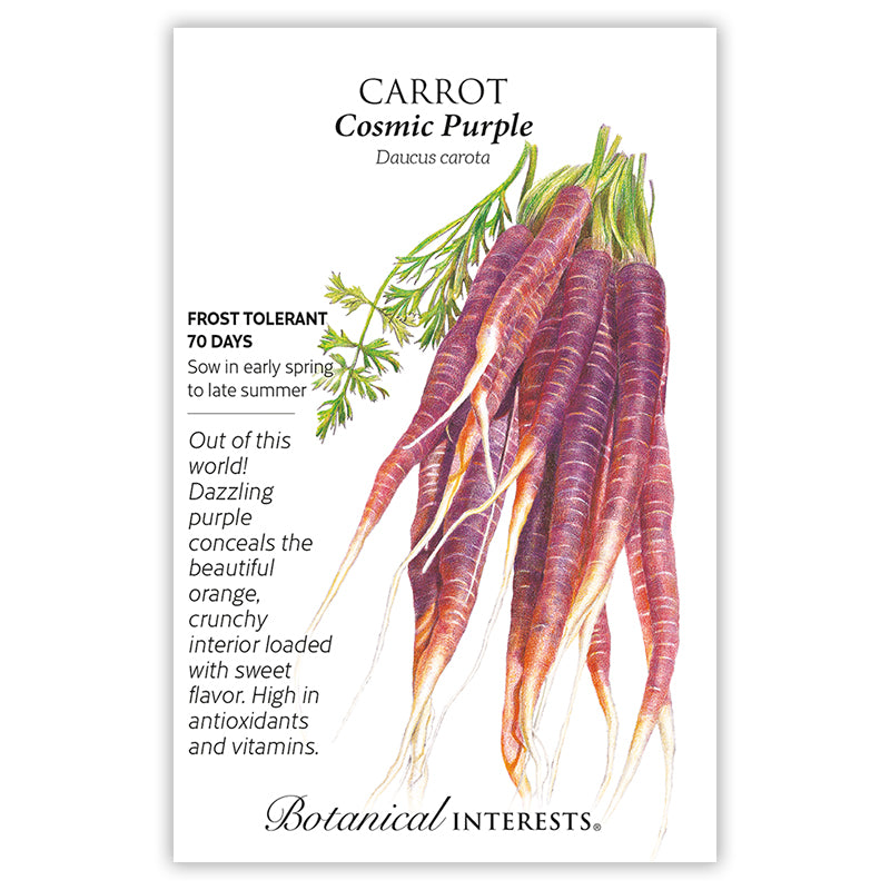 SEEDS: Carrot - Cosmic Purple