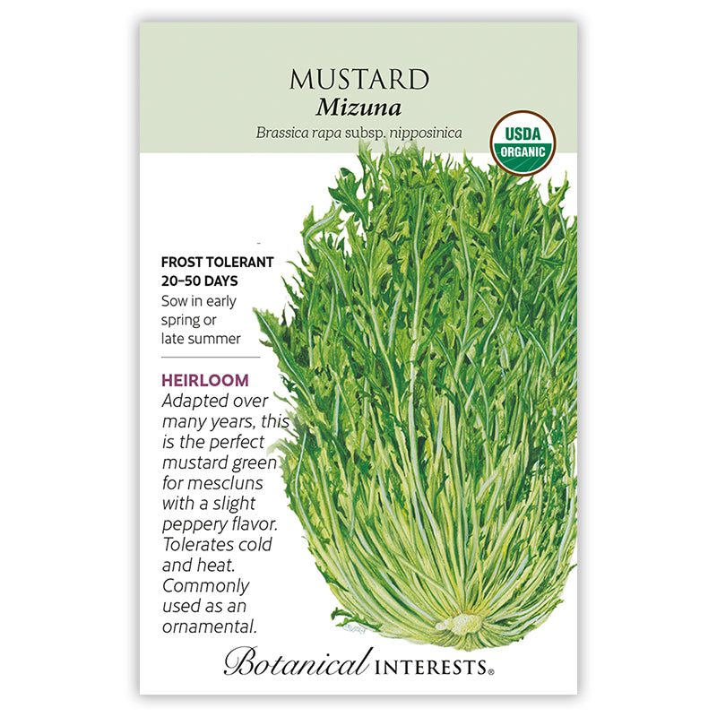 SEEDS: Mustard - Mizuna - Organic