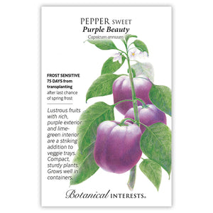 SEEDS: Pepper - Sweet Purple Beauty