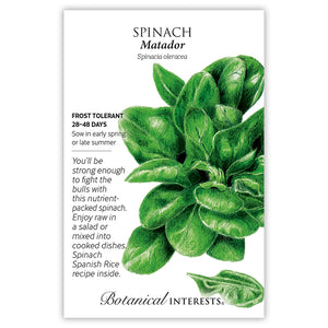 SEEDS: Spinach - Matador