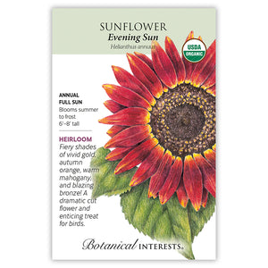 SEEDS: Sunflower Evening Sun