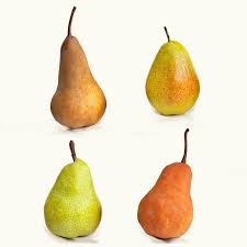 Pyrus Fruiting Pear '4-N-1' Combo