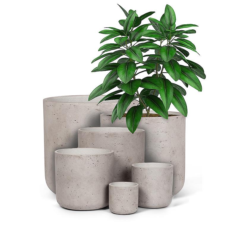 classic plant pots Classic Planter