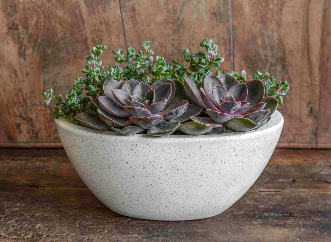 Geo Oval Planter - Terrazzo White