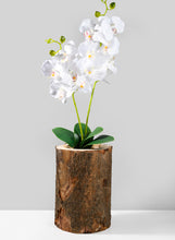 Load image into Gallery viewer, Paulownia Wood Tree Trunk Vase
