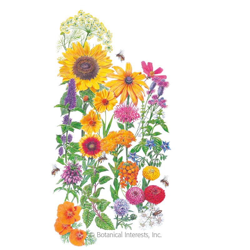 SEEDS: Flower Mix - Save the Bees