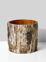 Load image into Gallery viewer, Birch Bark Glass Vase
