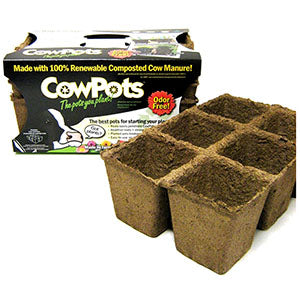 Cow Pots - 6 Cell Tray 3 Pack