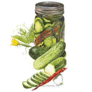 SEEDS: Cucumbers - Homemade Pickles - Organic