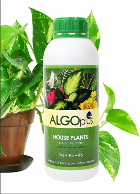 ALGOplus House Plant Fertilizer – Pondside Nursery