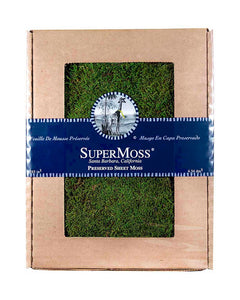 Sheet Moss - 200 cu. in. Display Box