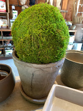 Load image into Gallery viewer, Moss Ball
