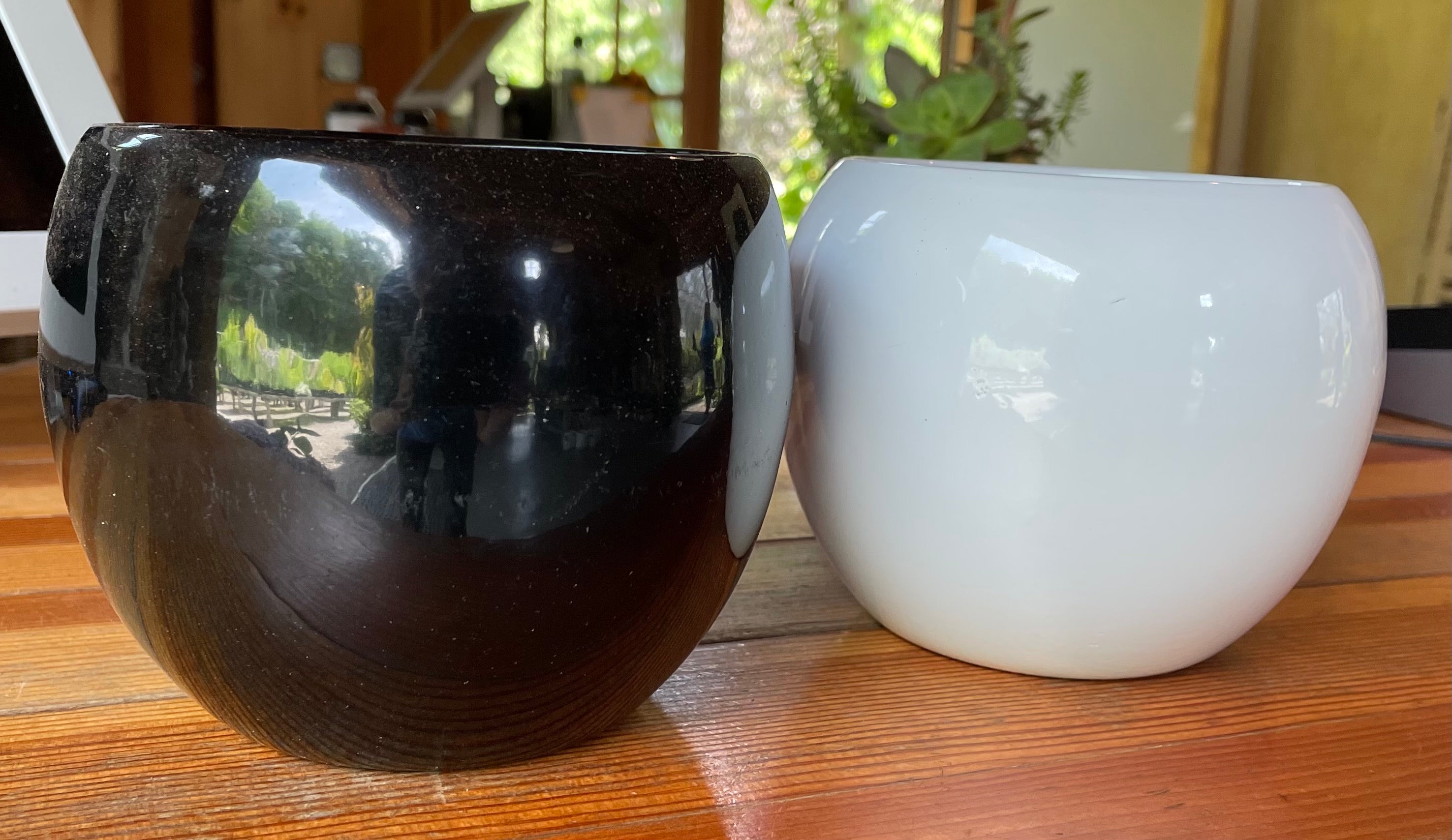 black gloss ceramic plant pots Lisa 4.5 Inch Pot – Pondside Nursery