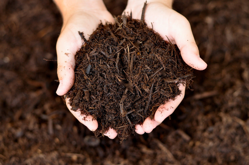 Premium Organic Mulch Dark Brown - Bulk/Yard