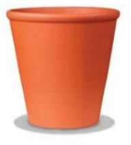 Rose Pot - Red - 4in