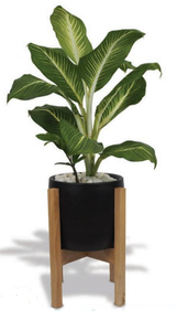 Rubber Wood Pot Stand