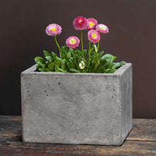 Load image into Gallery viewer, Geo Planters - Natural
