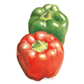 SEEDS: Pepper - Sweet (Grn/Red) California Wonder - Organic