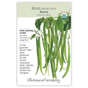 SEEDS: Bean Bush French Tavera - Organic
