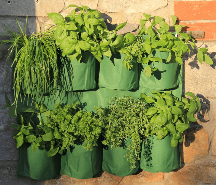 outdoor hanging herb planter Herb Wall Planter – Pondside Nursery