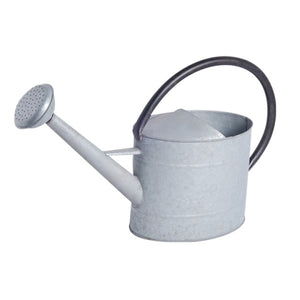 Aged Zinc Watering Can (3 Sizes Available)