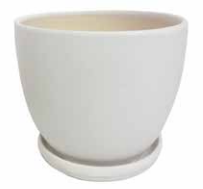 Egg Pot w/Saucer
